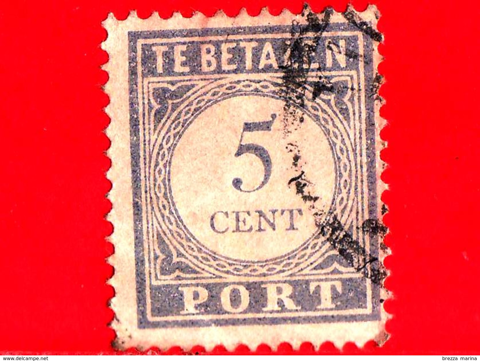 OLANDA - Usato - 1912 - Numeri - Portzegel - Te Betalen - 5 - Strafportzegels