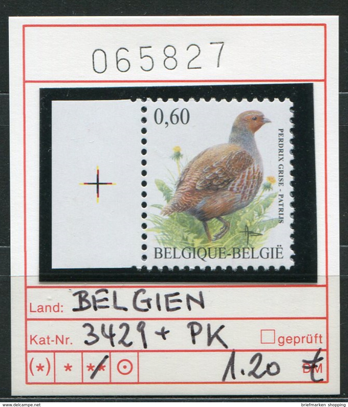 Buzin - Belgien - Belgique - Belgium - Belgie - Michel 3429 + PK - Vögel Buzin Oiseaux Birds -  - ** Mnh Neuf Postfris - 1985-.. Pájaros (Buzin)