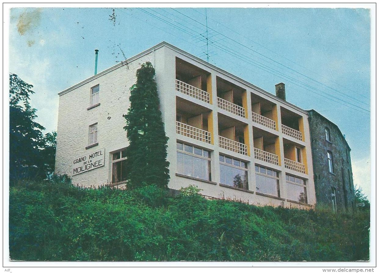 CP FALAEN, GRAND HOTEL DE LA MOLIGNEE, ONHAYE, PROVINCE DE NAMUR, BELGIQUE - Onhaye