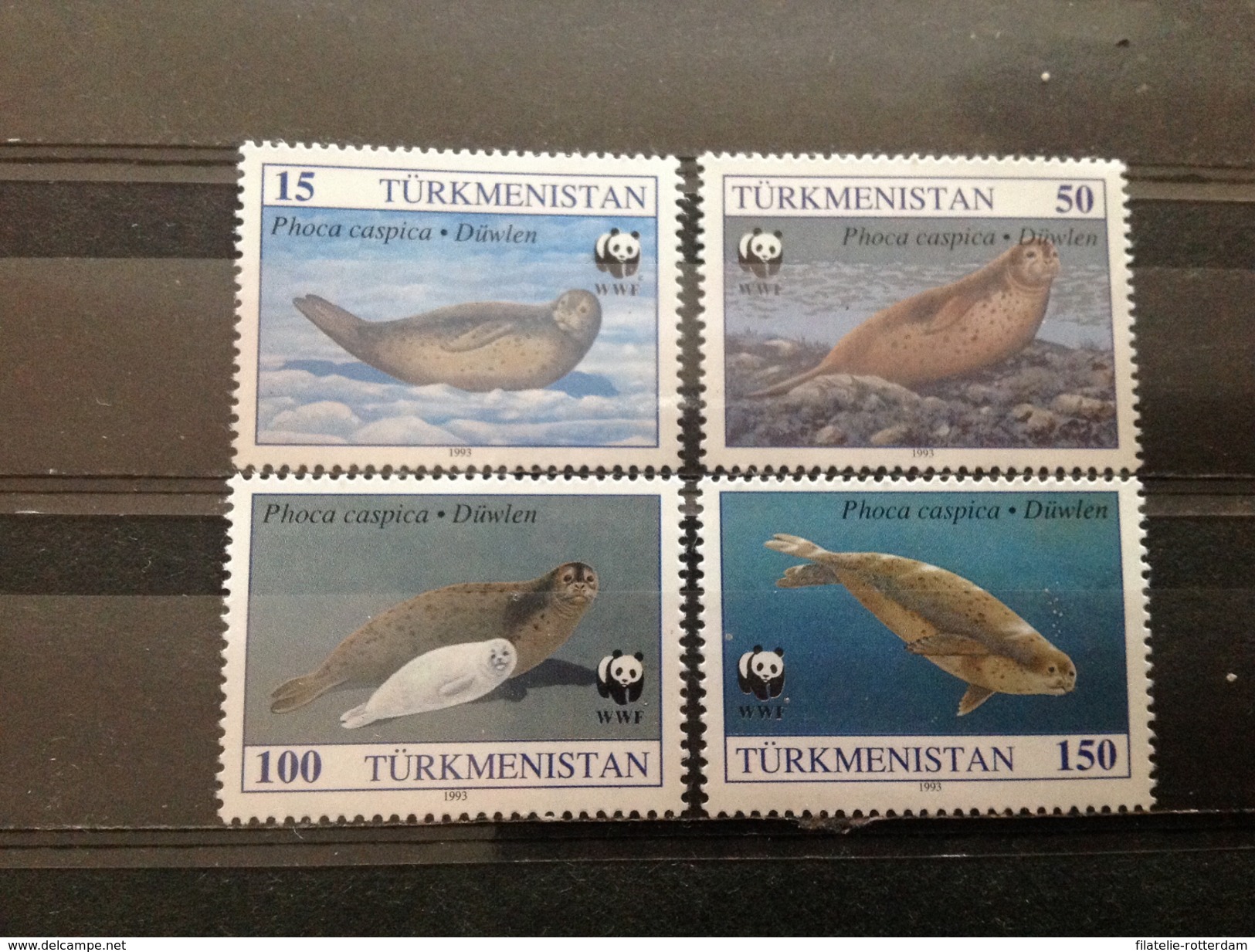 Turkmenistan - Postfris / MNH - Complete Set WWF, Zeehonden 1993 - Turkmenistan