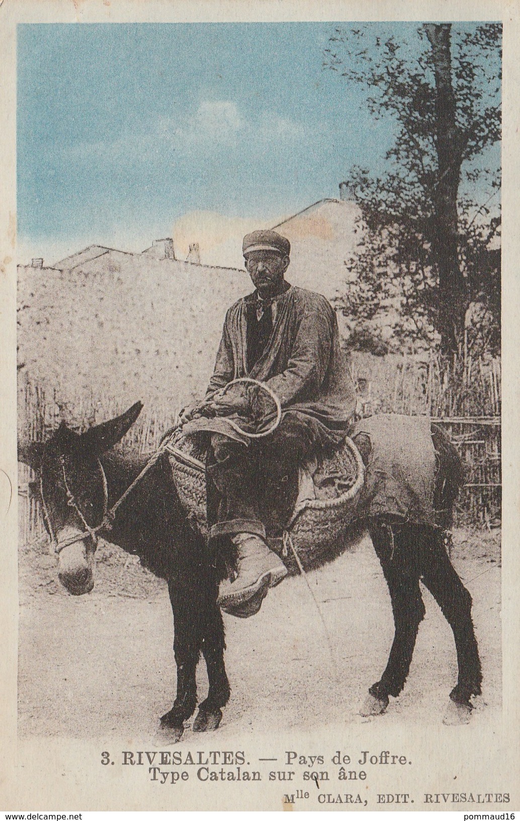 CPSM Rivesaltes Pays De Joffre - Type Catalan Sur Son âne - Rivesaltes