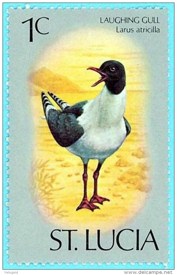 St Santa Lucia. 1976 (**) Mi 380. Birds. Laughing Gull. Pájaros. Gaviota Reidora. Definitives. Serie Basica - St.Lucia (...-1978)