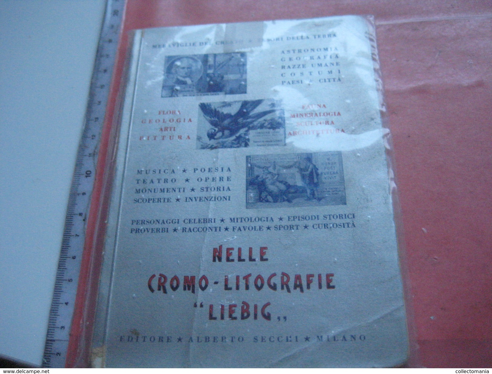 19 old catalogues price lists Compagnie Liebig - Katalogen - 1900 à 2000, DRESER 1902 1903, Tourteau, Sanguinetti