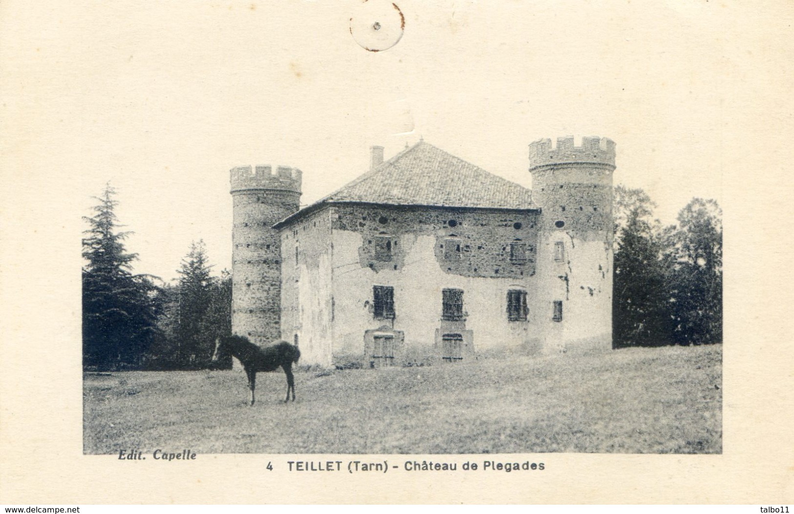 Teillet - Chateau De Plegades - Autres & Non Classés