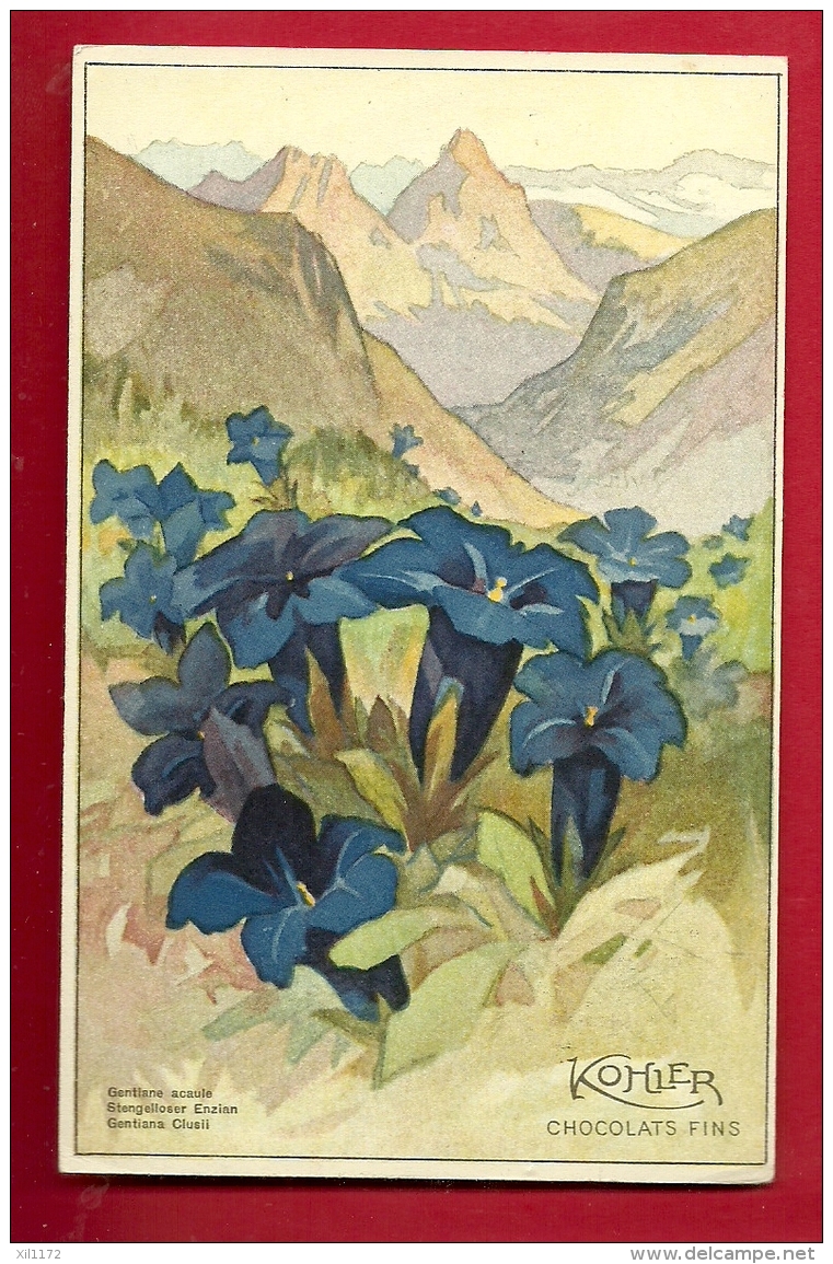 FJL-10 Gentiane Acaule Gentiana Clusli  Kohler Chocolats Fins. Circulé Sous Enveloppe En 1928 - Fleurs