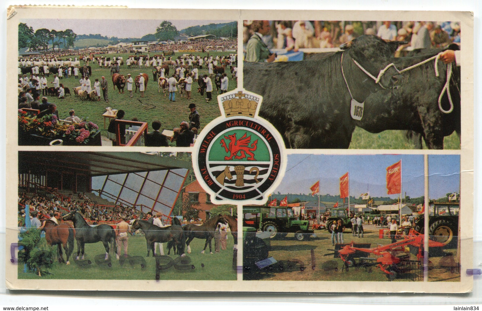 Royal Welsh Agicultural Show - Side Frenhinol, Horses, Bulls, Peu Courante, Petit Format, écrite, BE, Scans... - Breconshire