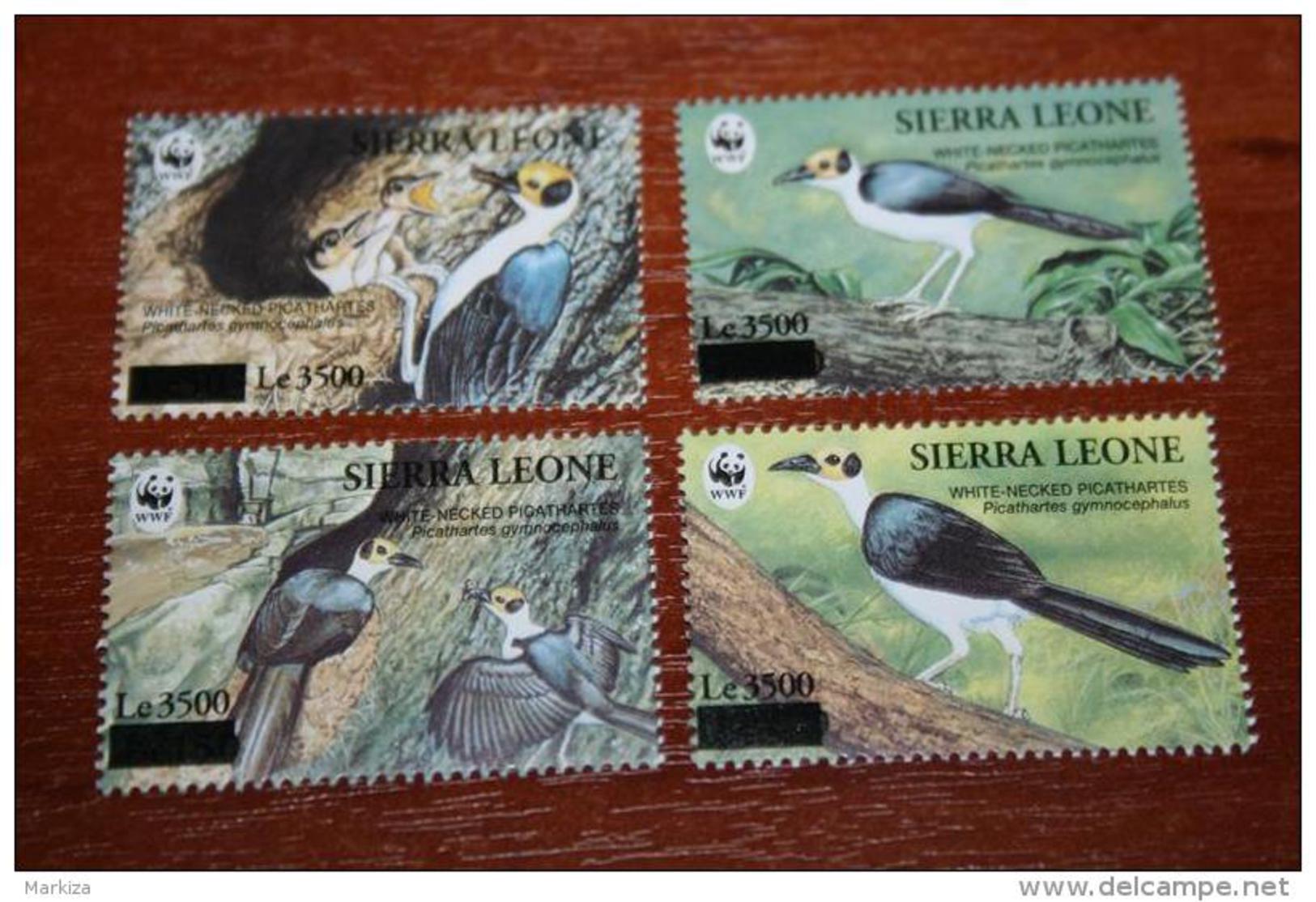 WWF Sierra Leone  Birds Overprint - Other & Unclassified