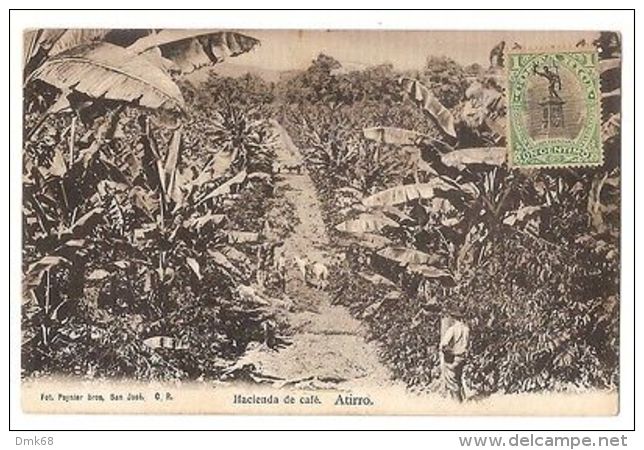 COSTA RICA - HACIENDA DE CAFE - ATIRRO - FOT. PAYNTER BROS - STAMP - 1906 - Altri & Non Classificati