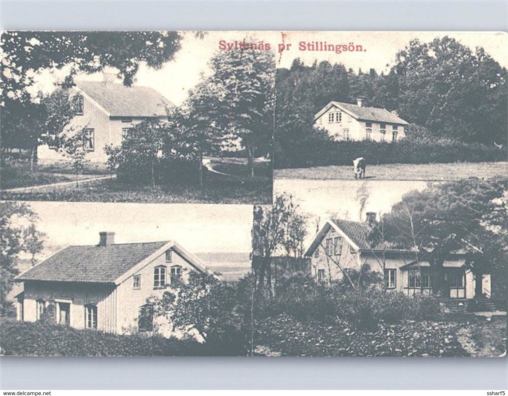 SYLTENÄS Pr. STILLINGSÖN (handstamp) 1910 Various Views - Schweden