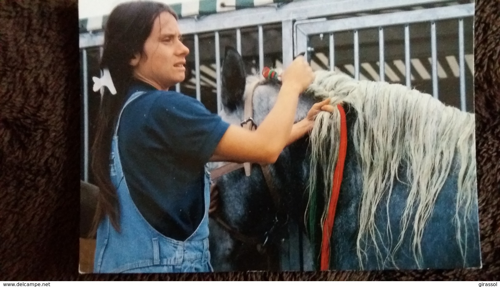 CPM CHEVAL CHEVAUX LE HARAS DU PIN ORNE EXMES NATTAGE D UNE CRINIERE DE PERCHERON CONGRES MONDIAL 1989 - Chevaux