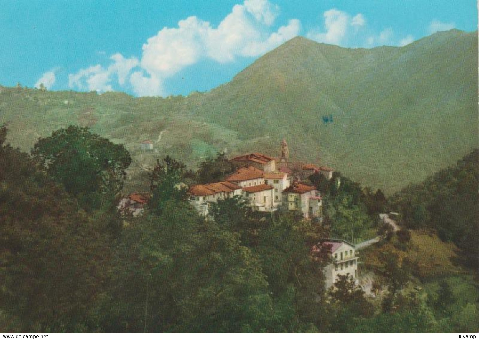 MONTEREGGIO (MASSA CARRARA) -F/G   ACQUARELLATA  (130416) - Massa