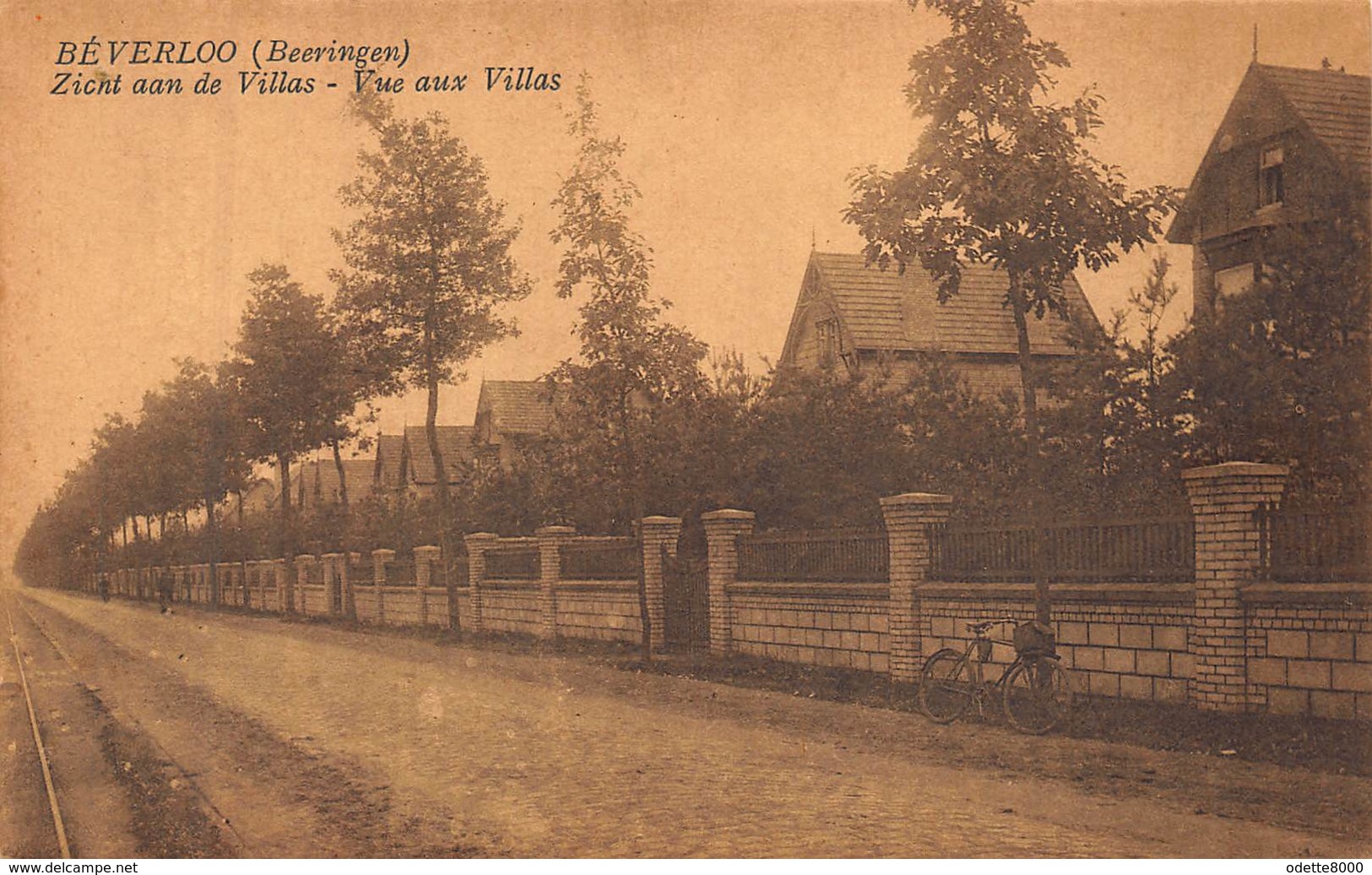 Beverlo   Beeringen   Zicht Aan De Villas  Vue Aux Villas               A 3960 - Beringen