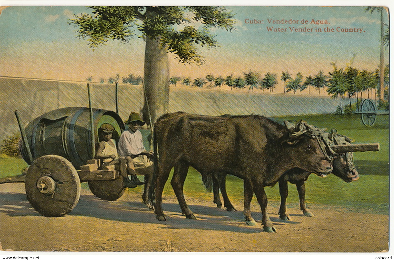 Water Seller Vendedor De Agua Cuba  Ox Cart With Wooden Wheels Edicion Jordi No 73 Roues Pleines En Bois - Cuba