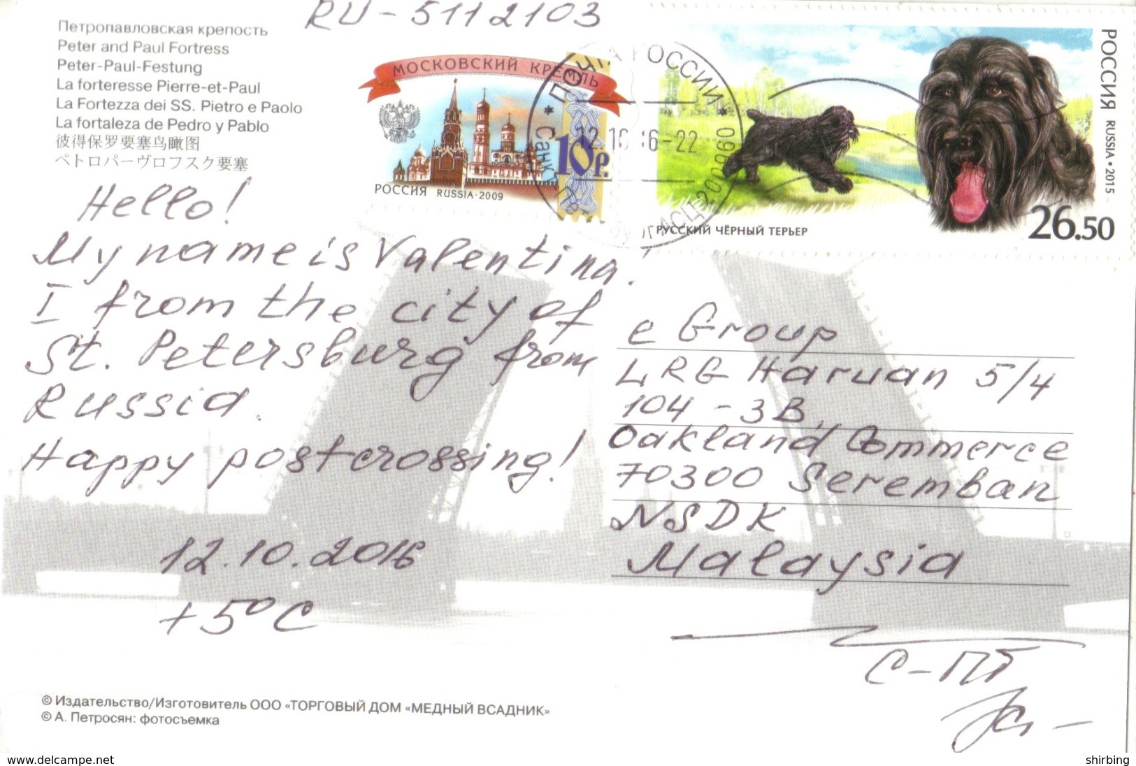 20C: Russia Dog Stamp On St Petersburg Postcard - Other & Unclassified