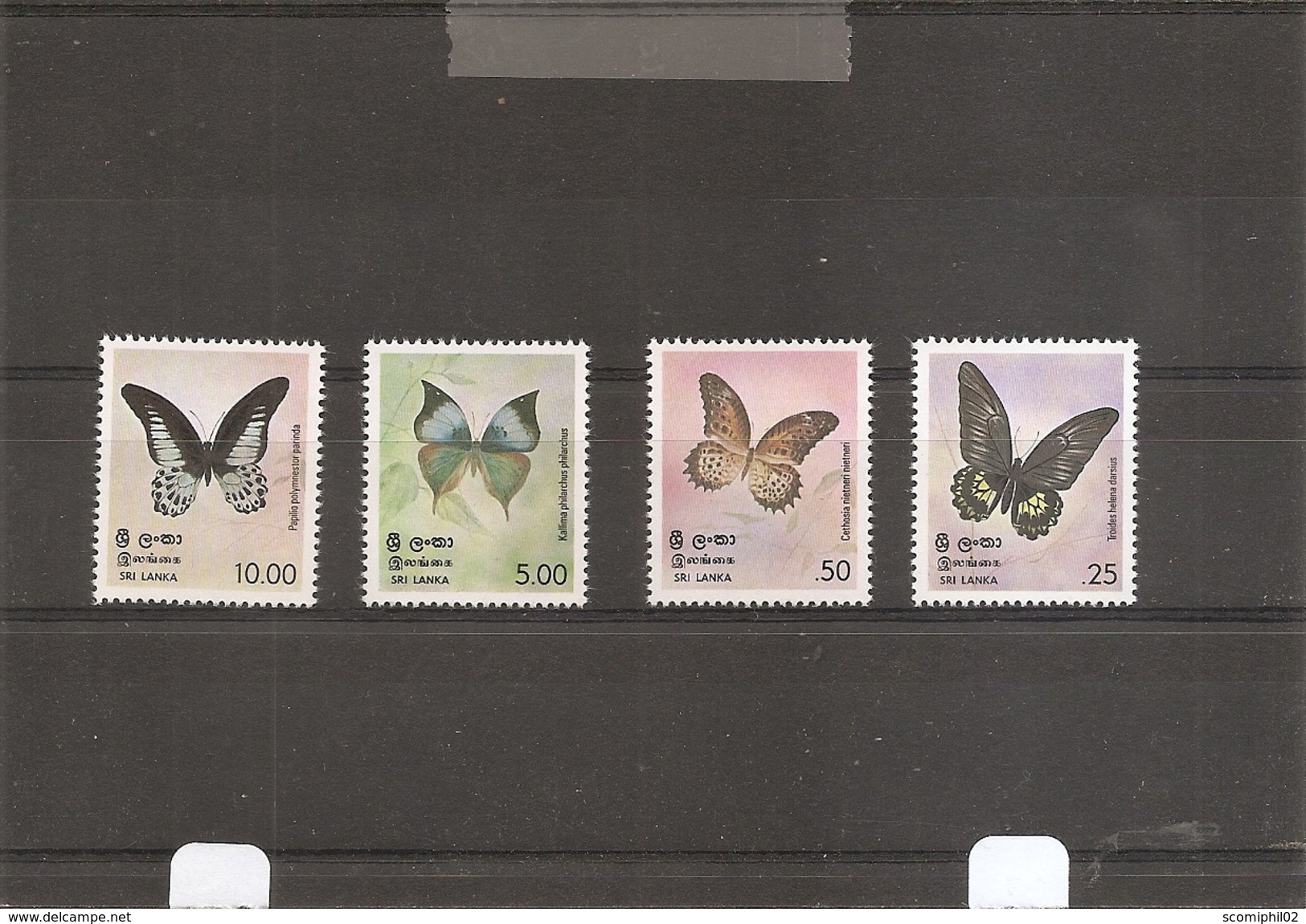 Papillons ( 500/503 XXX -MNH- Du SriLanka) - Farfalle