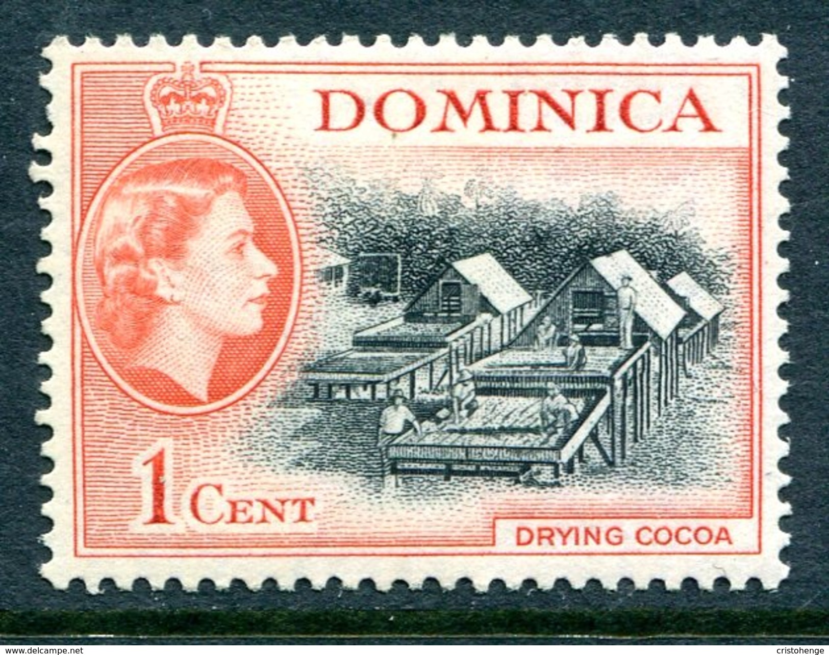 Dominica 1954-62 QEII Definitives - 1c Drying Cocoa HM (SG 141) - Dominica (...-1978)