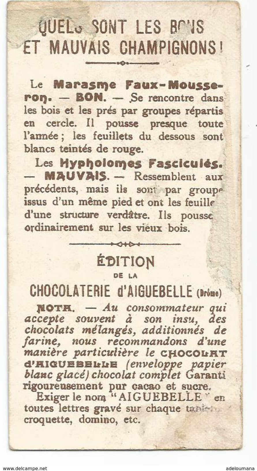 CHOCOLAT  D' AIGEBELLE  -   FAUX MOUSSERON   BON  -  HYPHOLOME FASCICULE  -  VENENEUX - Aiguebelle