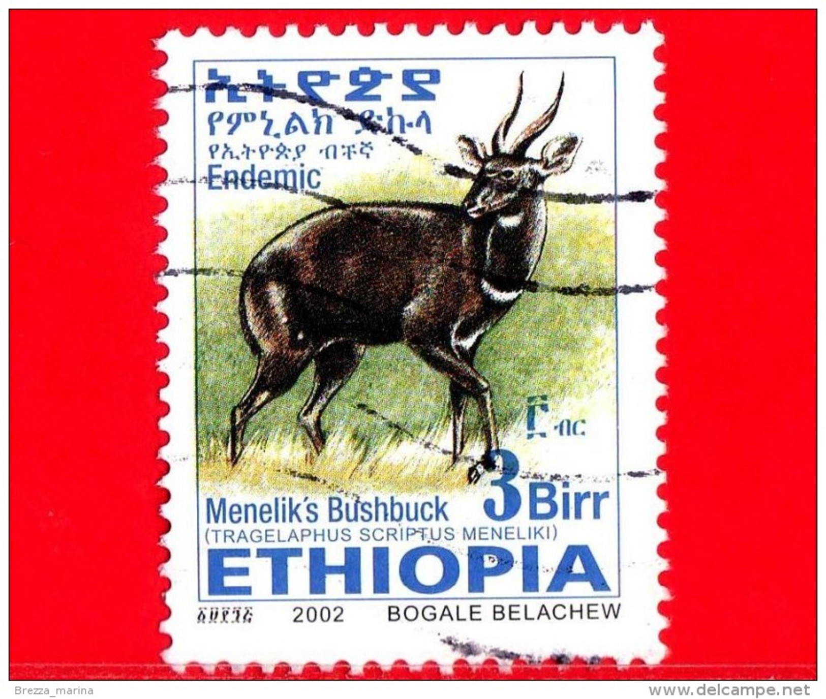 ETIOPIA - Usato - 2002 - Tragelafo Striato - Antilopi - Menelik's Bushbuck - 3 - Form. 25 X 33 Millimetri - Etiopia