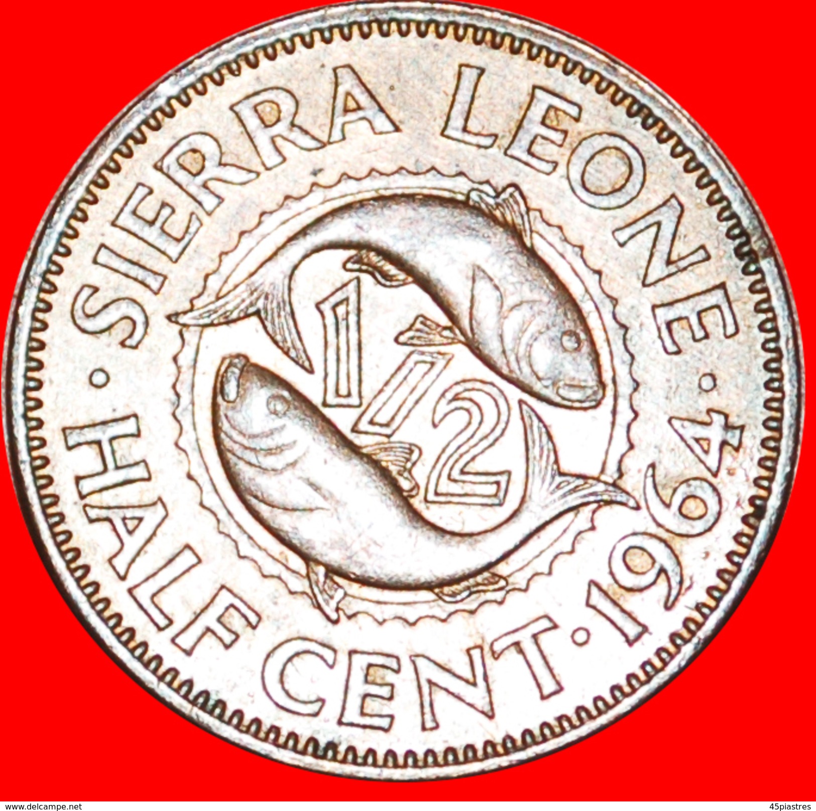 § FISHES: SIERRA LEONE &#x2605; 1/2 CENT 1964! LOW START &#x2605; NO RESERVE! - Sierra Leone