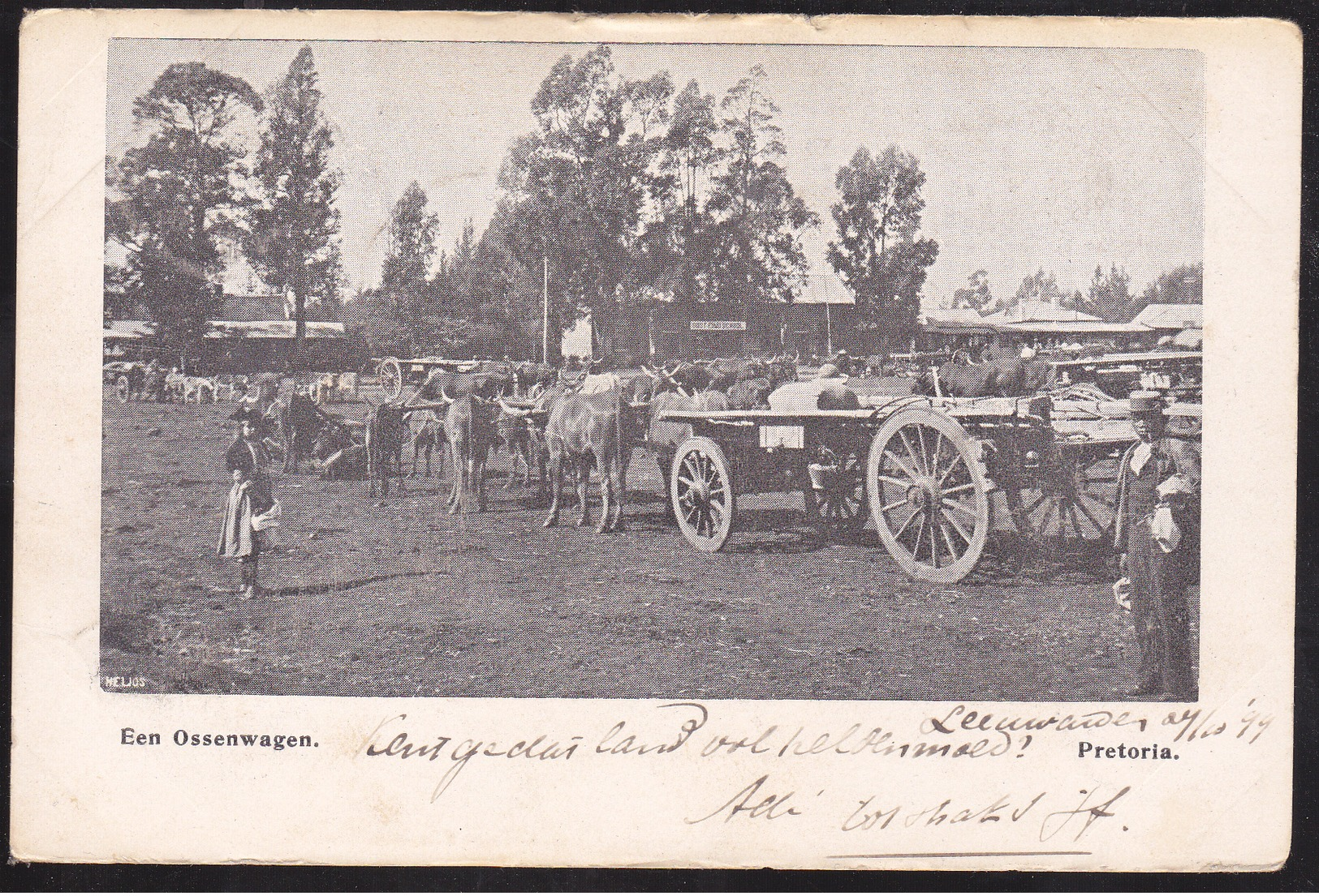 Pretoria, Een Ossenwagen (01484) - South Africa