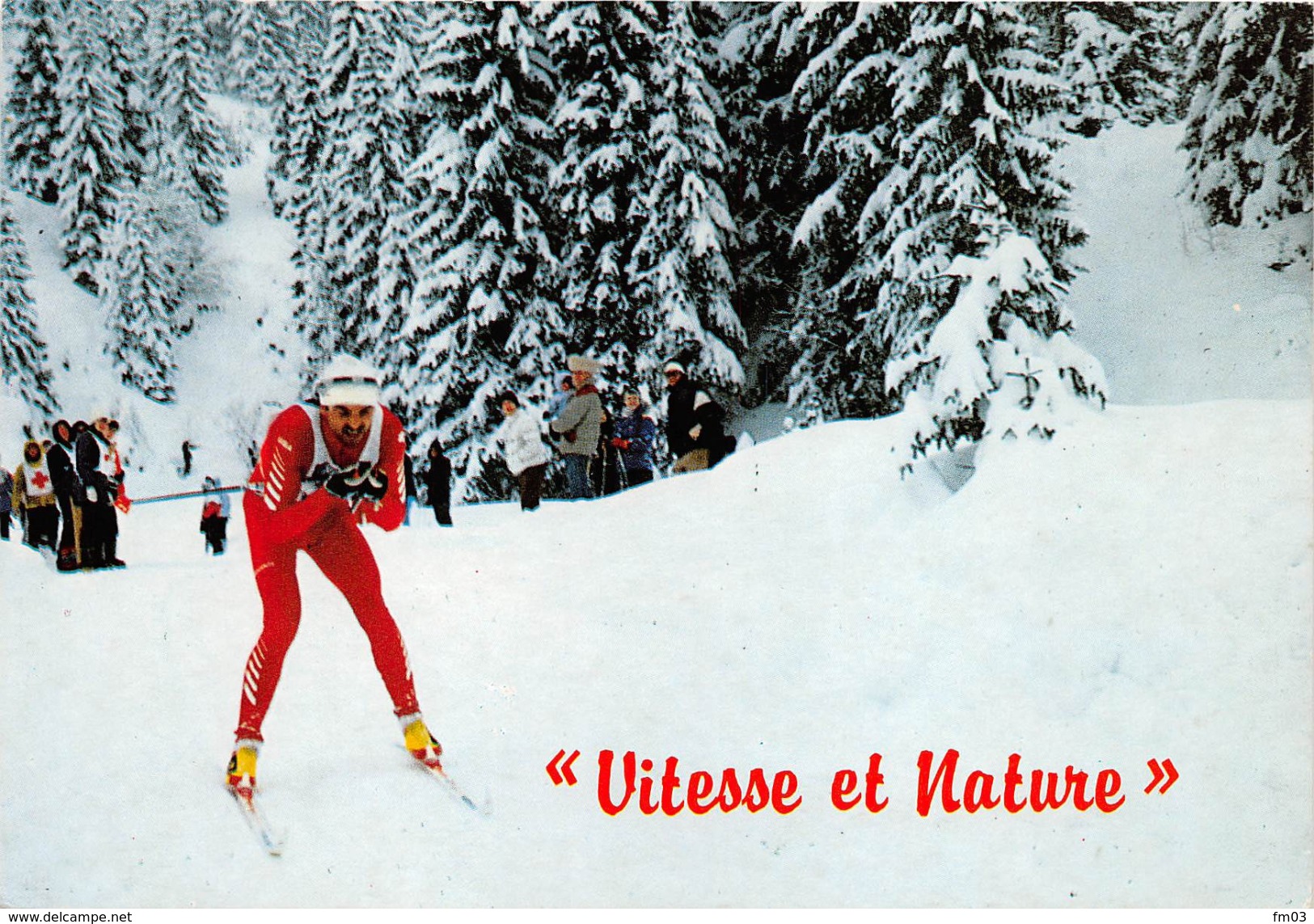 Ski De Fond - Sports D'hiver