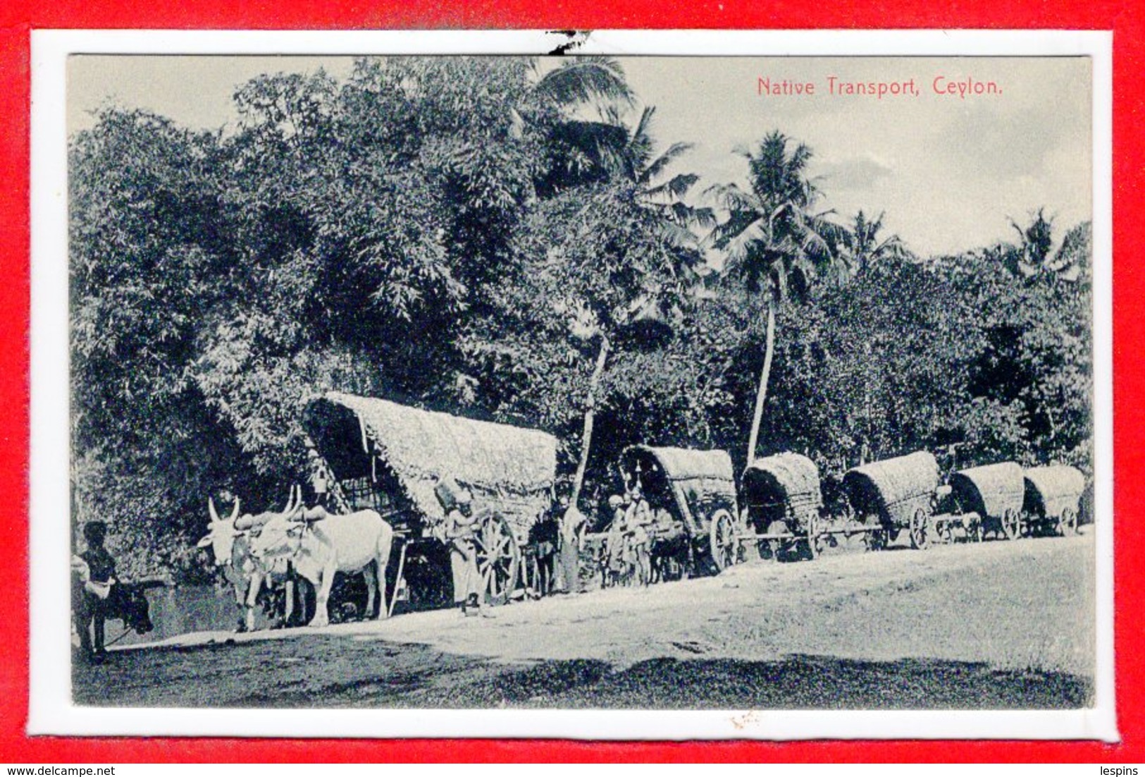 ASIE - SRI LANKA - CEYLON --  Native Transport - Sri Lanka (Ceylon)