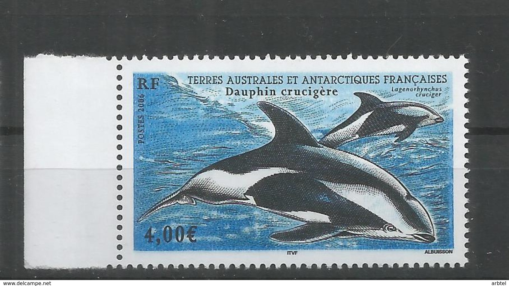 TAAF ANTARTCTIC ANTARTIDA POLO SUR DELFIN DOLPHIN MAMIFERO MARINO - Faune Antarctique