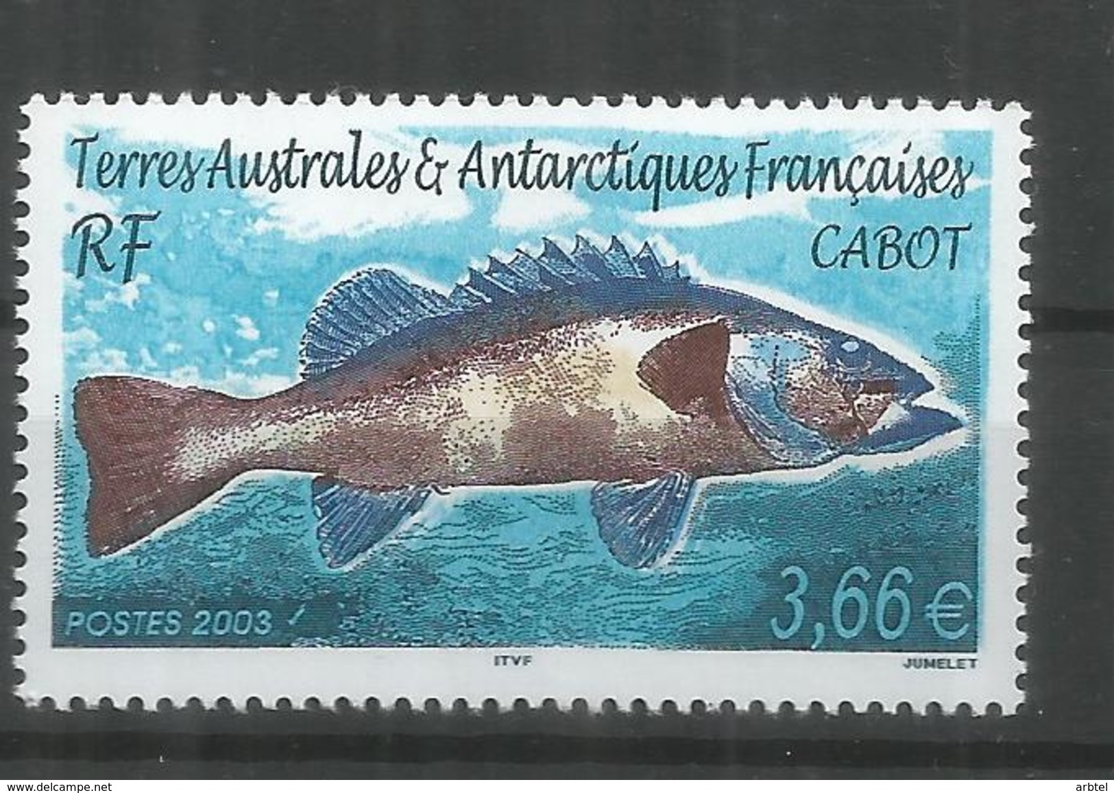 TAAF ANTARTCTIC ANTARTIDA POLO SUR PEZ FISH CABOT - Faune Antarctique