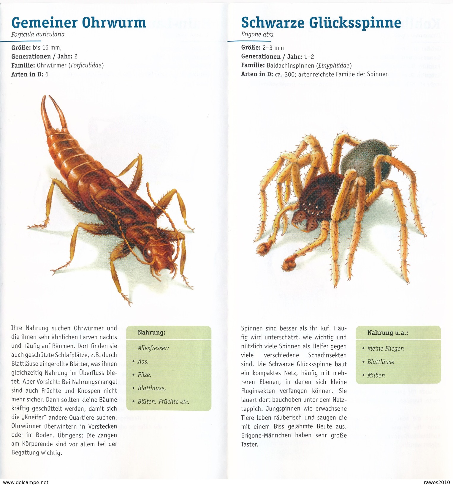 BRD Nützlinge Im Garten Bundesgartenschau München 2005 Biologische Bundesanstalt Faltblatt 7 Seiten (Abbildung = Auszug) - Animaux