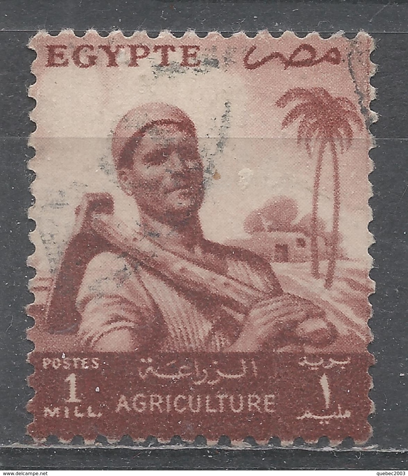 Egypt 1954. Scott #368 (U) Farmer - Oblitérés