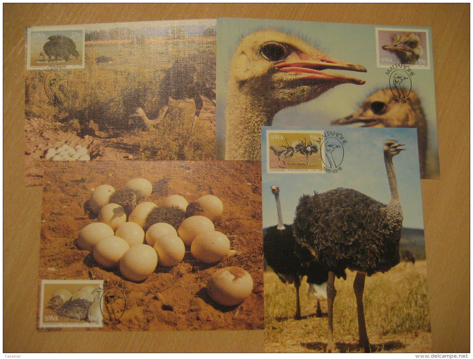 AUTRUCHE OSTRICH Yvert 523/6 OSTRICHES CAMLUS AUSTRALIS Maltahohe 1985 4 Maxi Maximum Card SWA - Autruches