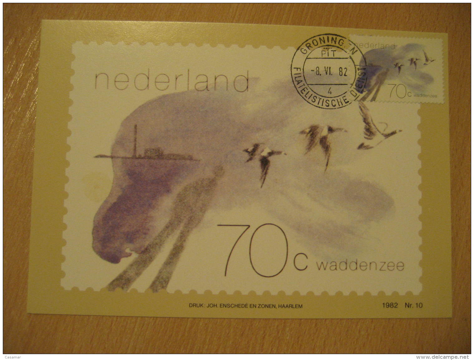 GEESE GANSO Poultry Duck Groningen 1982 Maxi Maximum Card Netherlands - Ganzen