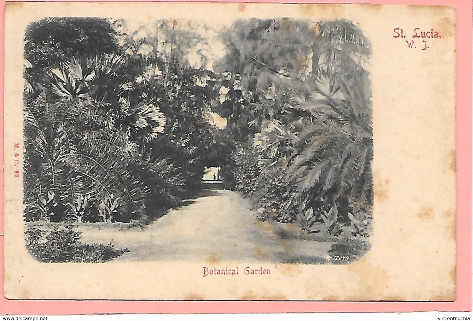 Botanical Garden St Lucia W. J. - Sainte-Lucie