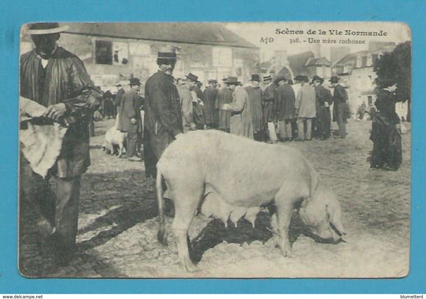 CPA 398 - Scène De La Vie Normande - Maquignons Marché Aux Cochons  14 - Autres & Non Classés