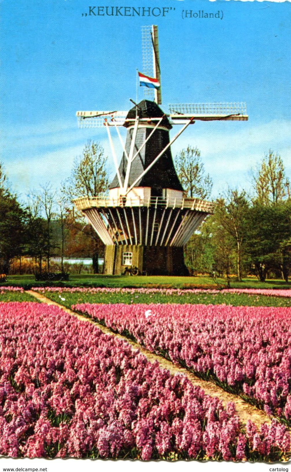 Keukenhof (Holland) - Lisse