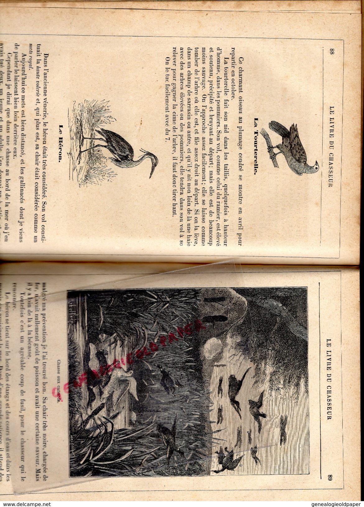 LE LIVRE DU CHASSEUR- CHASSE- CHARLES DIGUET- FAYARD PARIS 1881- DESSINS DE RIBALLIER- RELIURE CUIR