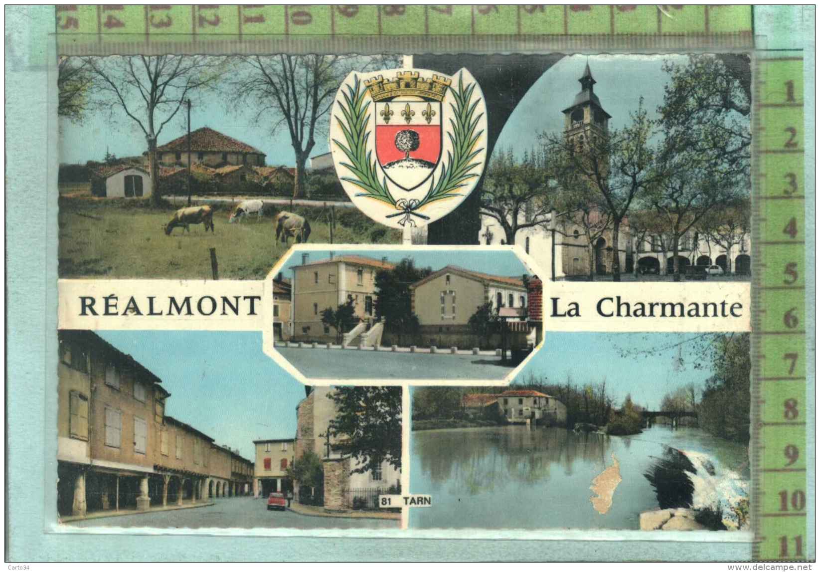 81  REALMONT - Realmont