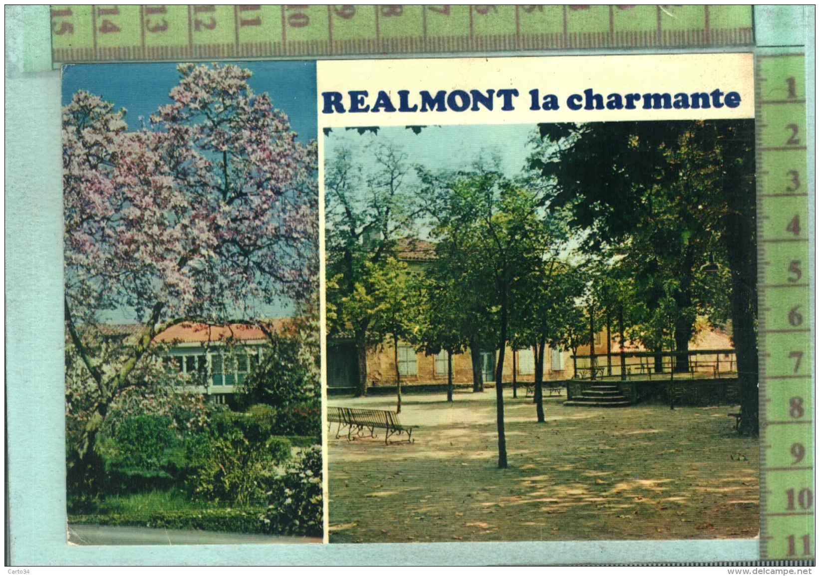 81  REALMONT - Realmont