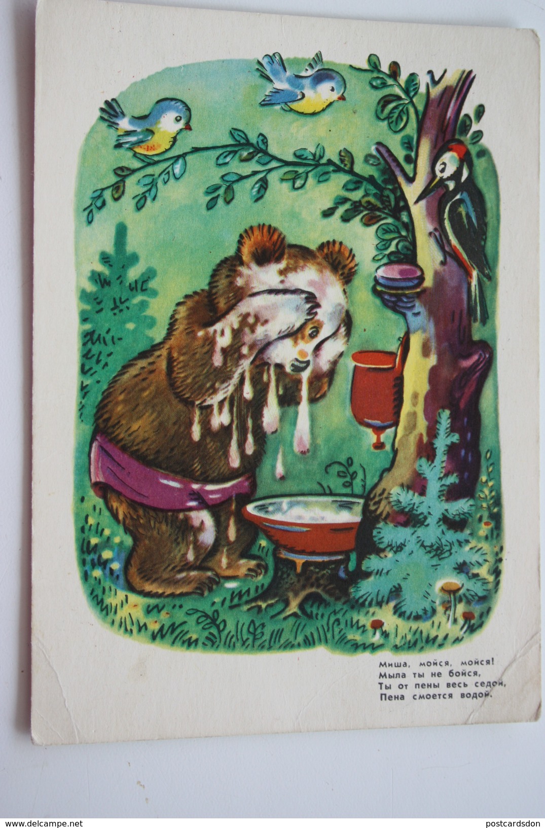 USSR. Bear Washing Its Face. Zotov 1968 Woodpecker Champignon  - Mushroom - Paddestoelen