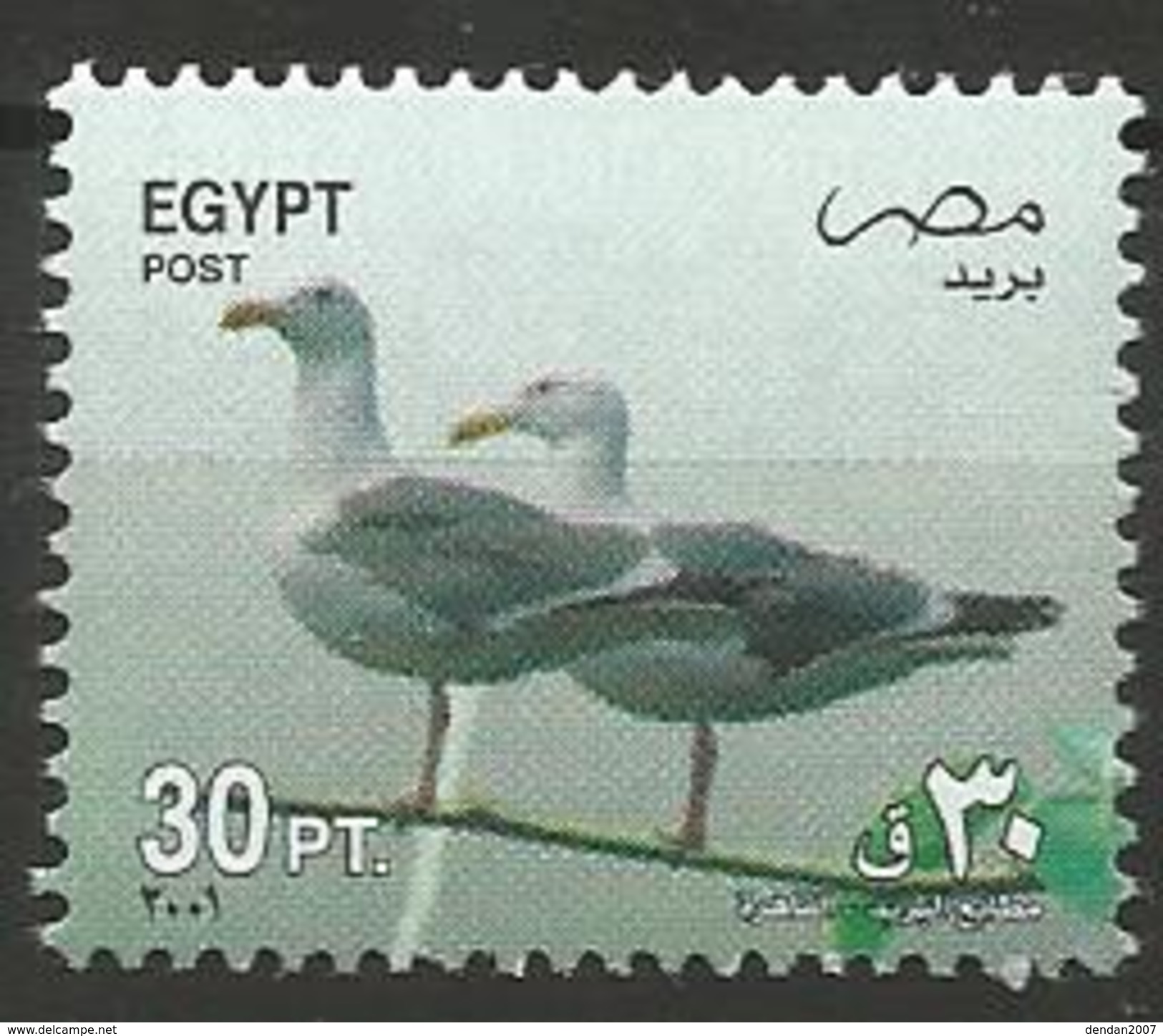 Egypt - MNH - Family GULLS, TERNS And SKIMMERS - Western Gull (Larus Occidentalis) - Other & Unclassified