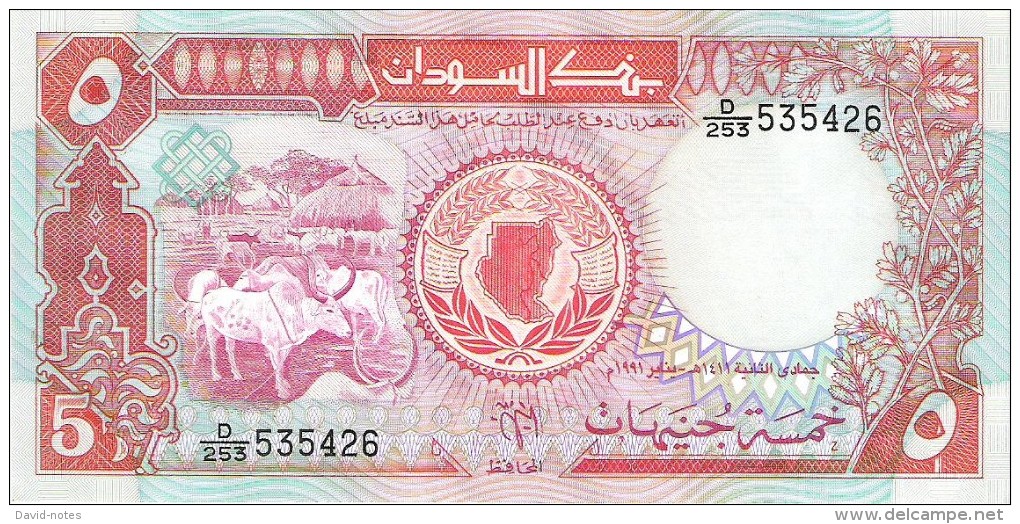 Sudan - Pick 45 - 5 Pounds 1991 - Unc - Sudan