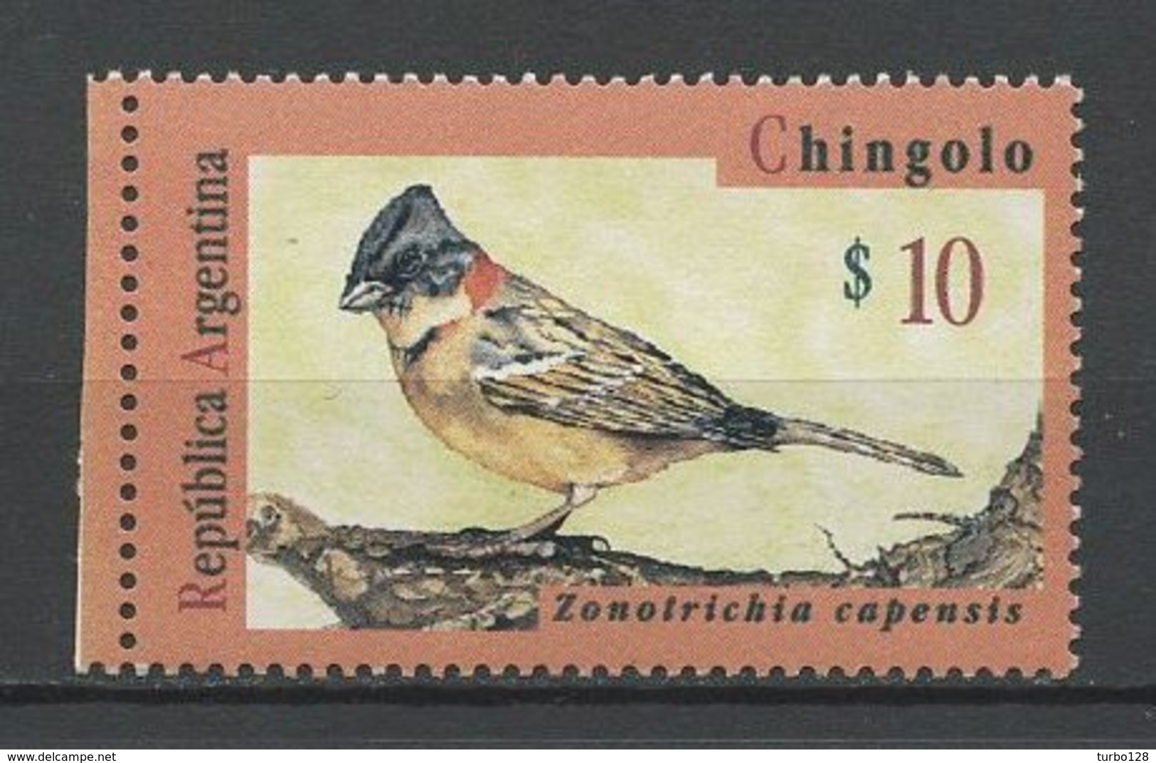 ARGENTINE 1995  N° 1876 ** Neuf MNH Superbe Cote 30 &euro; Faune Oiseaux Birds Zonotrichia Capensis Animaux - Neufs
