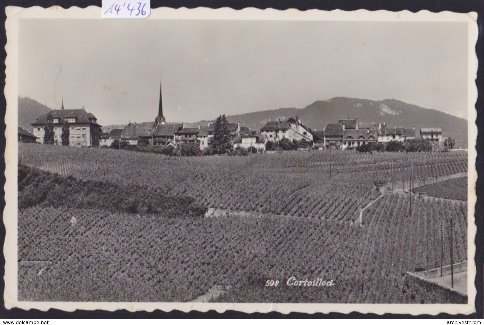 Cortaillod : Les Vignes Et Le Bourg Vers 1962 ; Plis (14´436) - Cortaillod