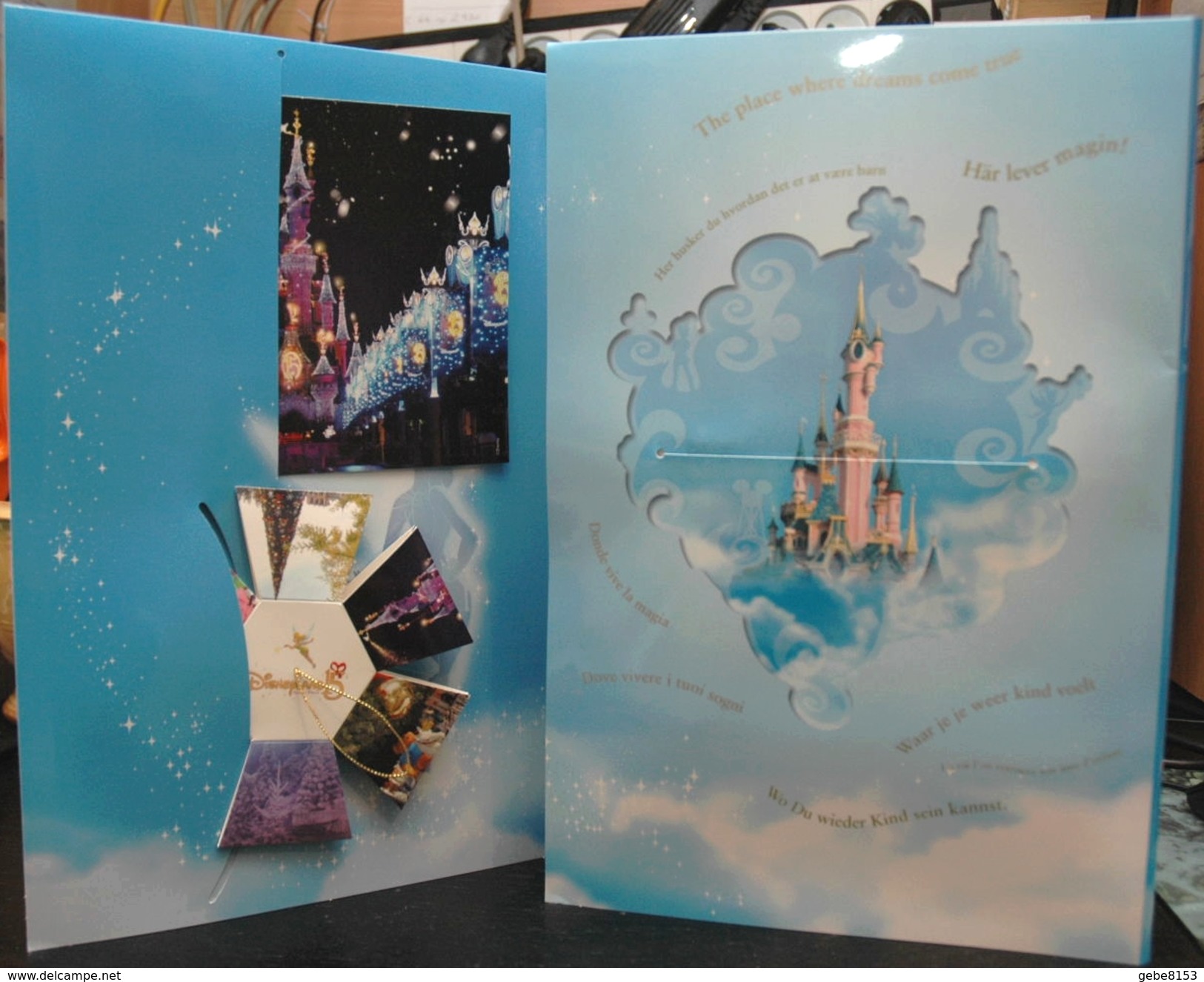 Dossier Presse Disney 15 Ans Disneyland Paris Triptyque Avec CP Château Calendrier 2008 Avec Roi Lion Cinéma - Autres & Non Classés