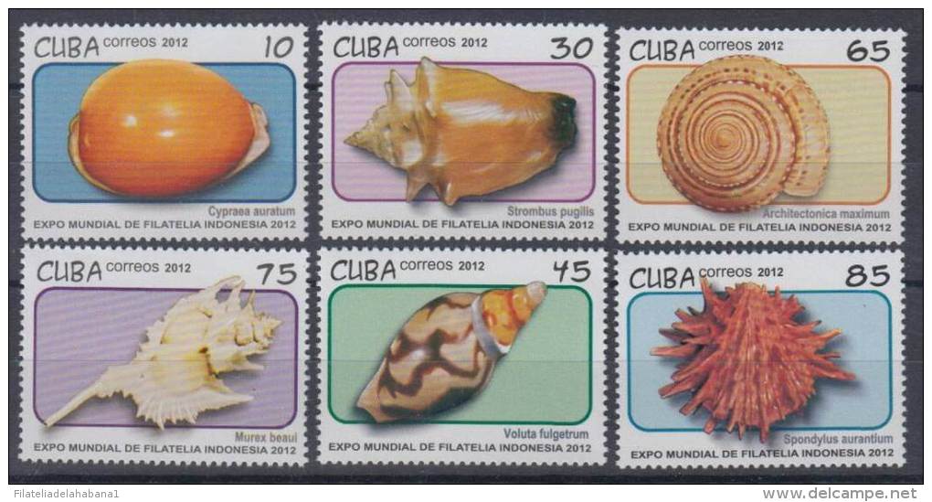 2012.1 CUBA 2012 MNH INDONESIA EXPO. SNAILS SEA. CARACOLES MARINOS - Ongebruikt