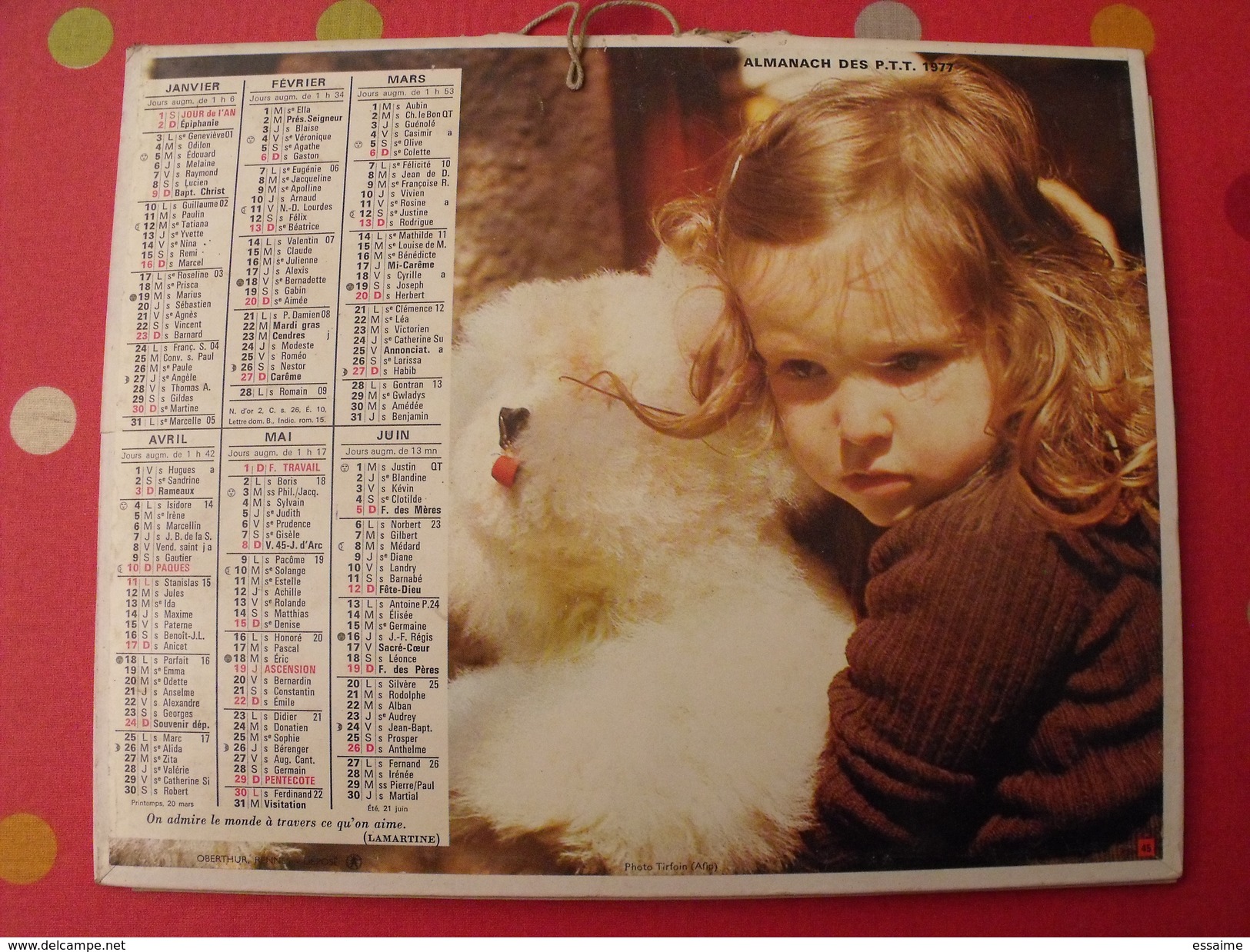 Calendrier Illustré En Carton De 1977. Almanach Des PTT Postes Facteur. Jean Lavigne. Chien Pigeon Enfant - Grand Format : 1971-80