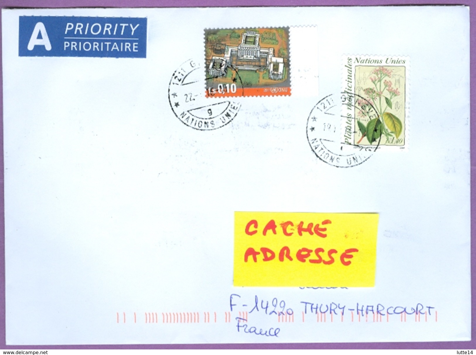 Nations Unies ONU, 2 Timbres Sur Lettre : ONU / Plantes Médicinales   / Oblitération - Storia Postale