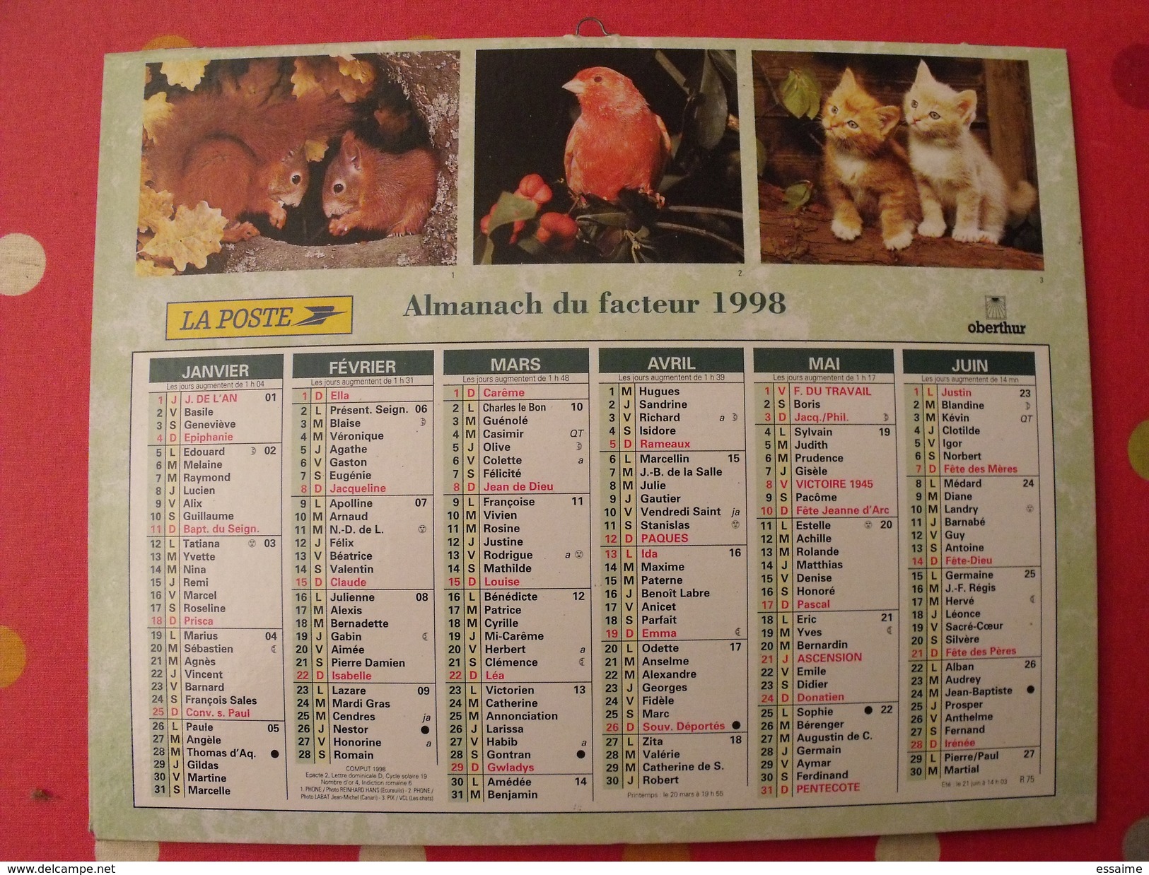 Calendrier Illustré En Carton De 1998. Almanach Des PTT Postes Facteur. Obetrhur. écureuil Chat Cheval Chien Faon - Tamaño Grande : 1991-00