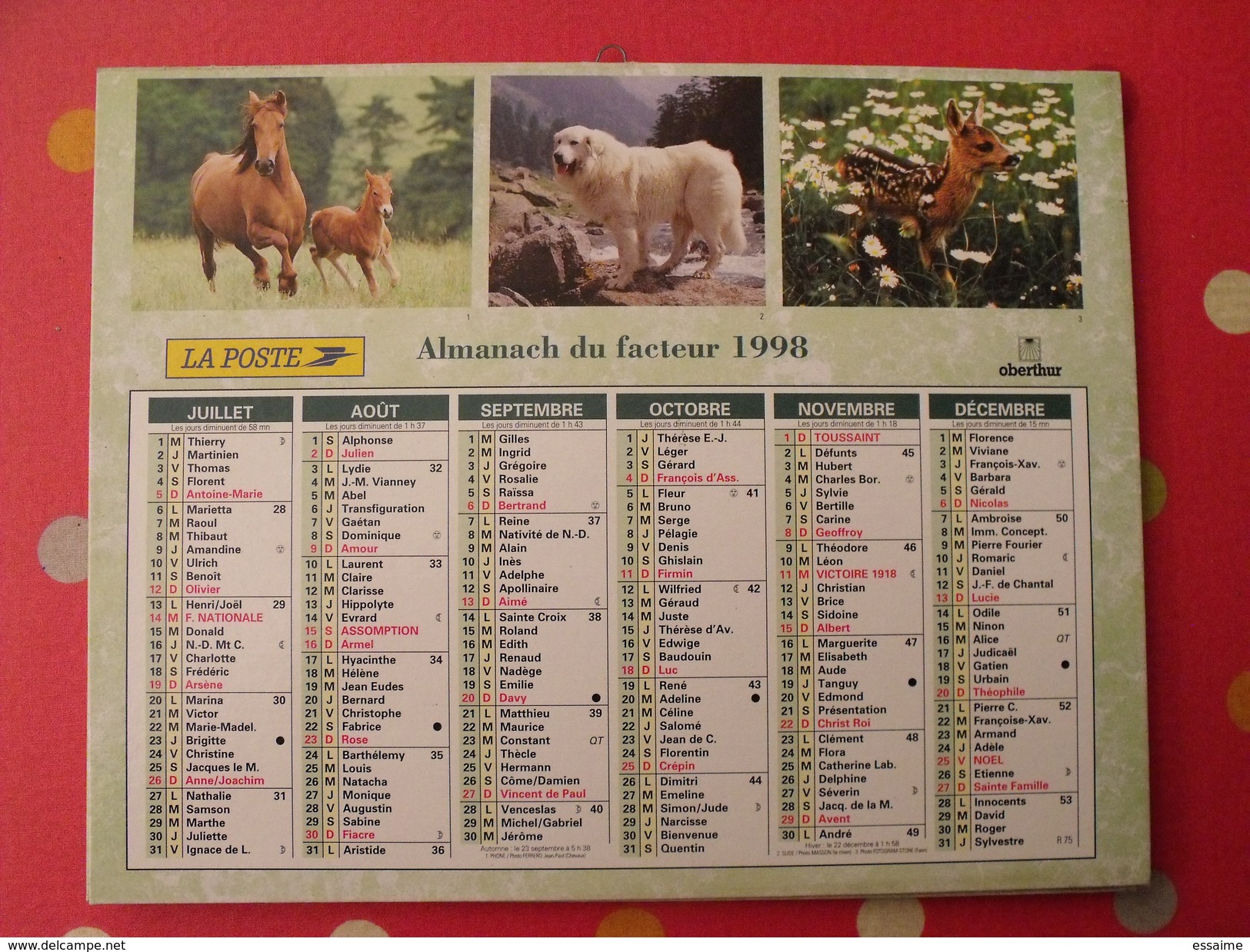 Calendrier Illustré En Carton De 1998. Almanach Des PTT Postes Facteur. Obetrhur. écureuil Chat Cheval Chien Faon - Grand Format : 1991-00