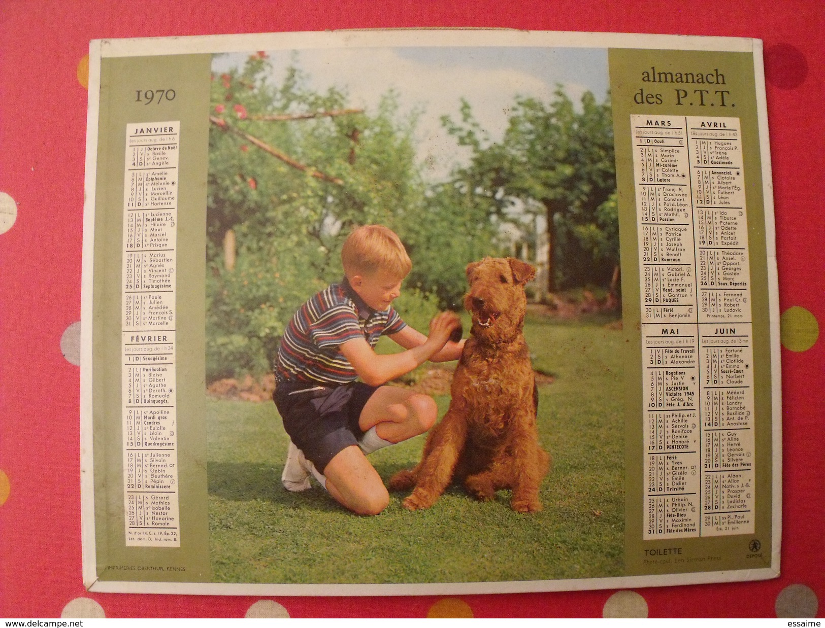 Calendrier Illustré En Carton De 1970. Almanach Des PTT Postes Facteur. Chien Fillette - Grand Format : 1961-70